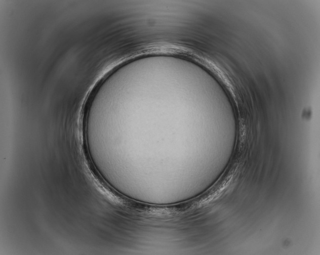 X0000099540843200806061453