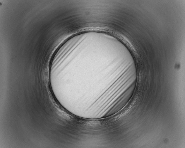 X0000099540844200806061453