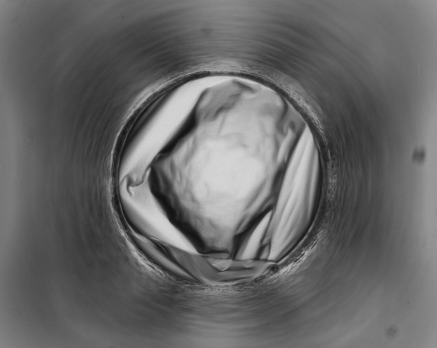 X0000099540845200806061453