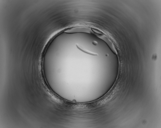 X0000099540846200806061453