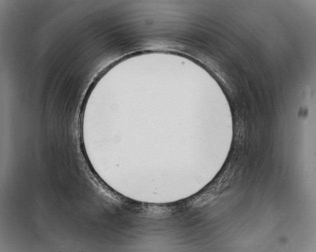 X0000099540848200806061453