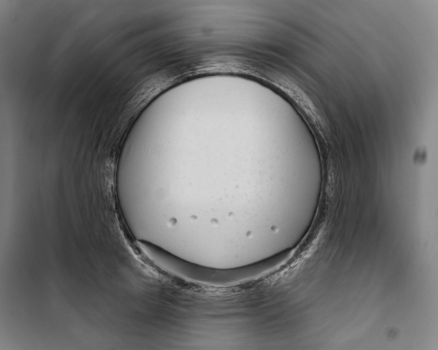 X0000099540849200806061453