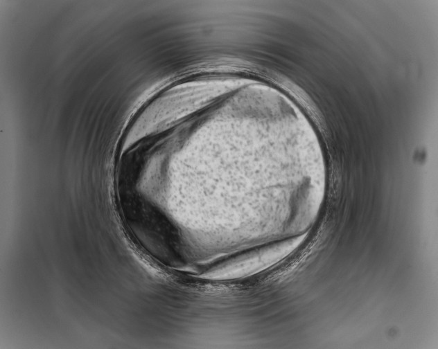 X0000099540850200806061453