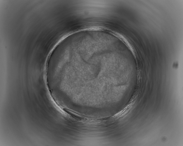 X0000099540851200806061453