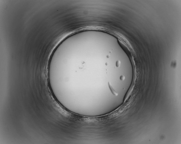 X0000099540852200806061453