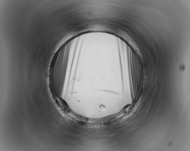 X0000099540853200806061453