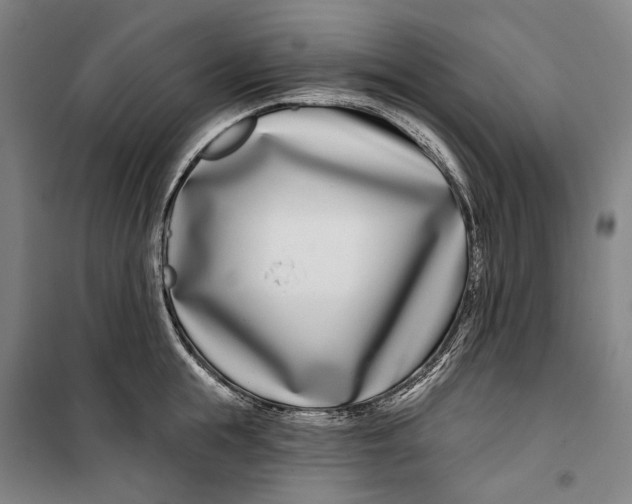 X0000099540855200806061453