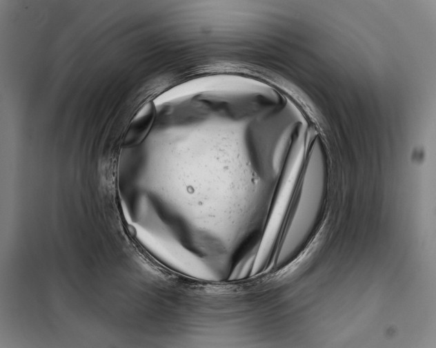 X0000099540857200806061453