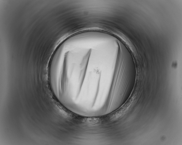 X0000099540858200806061453