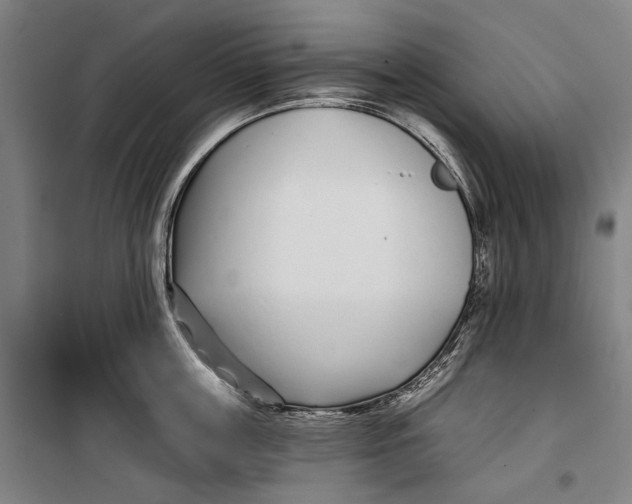 X0000099540859200806061453