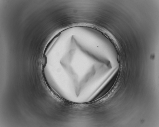 X0000099540860200806061453