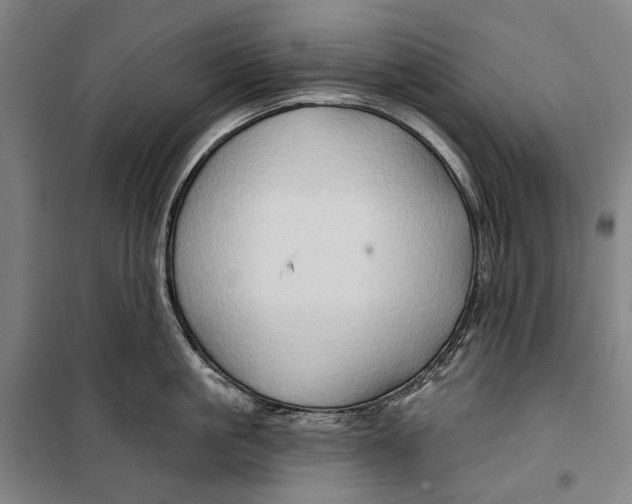 X0000099540861200806061453