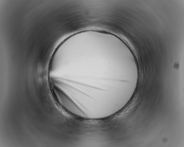 X0000099540862200806061453