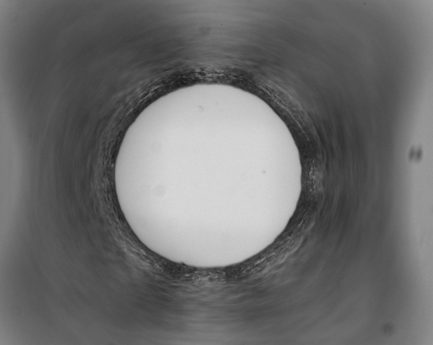 X0000099540865200806061452