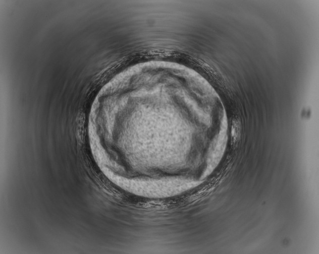 X0000099540867200806061452