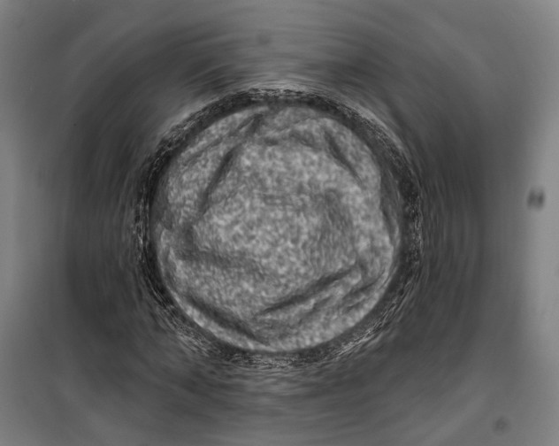 X0000099540870200806061452