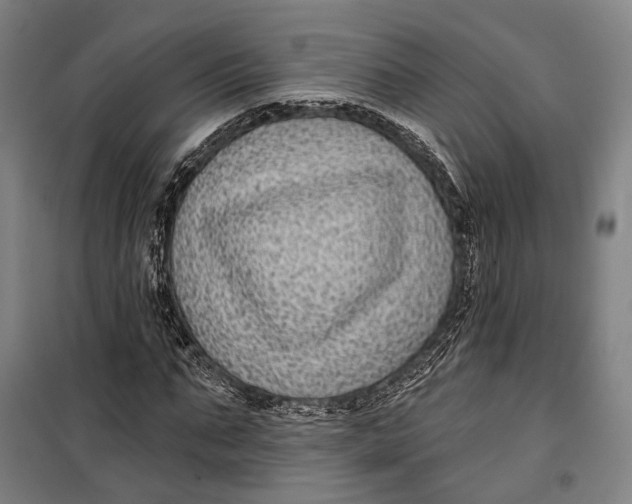 X0000099540871200806061452