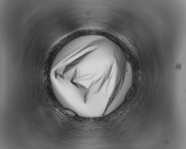 X0000099540872200806061452