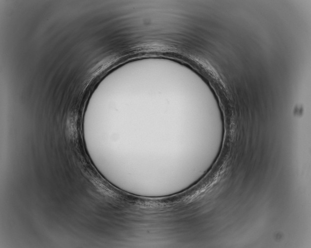 X0000099540873200806061452