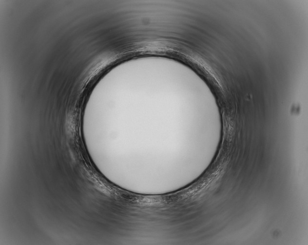 X0000099540874200806061452