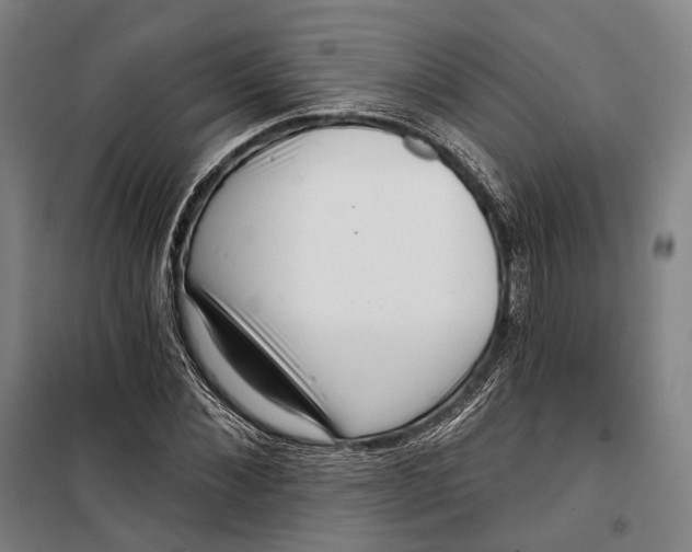 X0000099540876200806061452