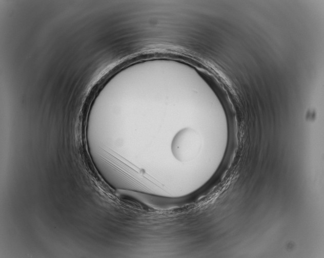 X0000099540877200806061452