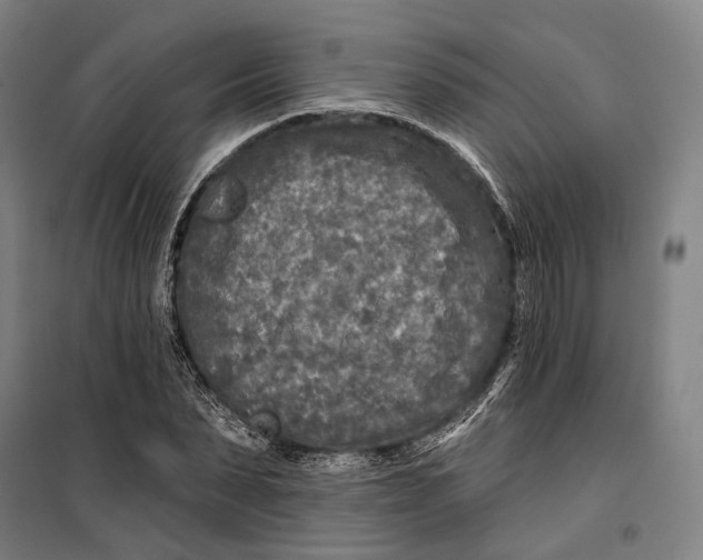 X0000099540879200806061452