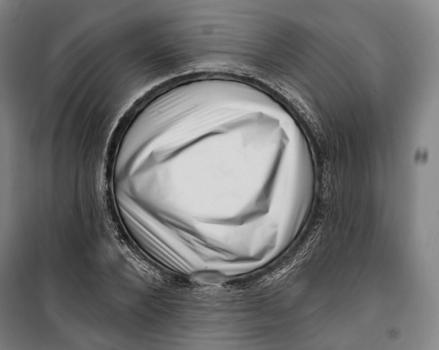 X0000099540880200806061452