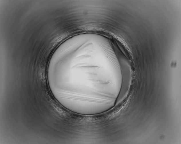 X0000099540881200806061452