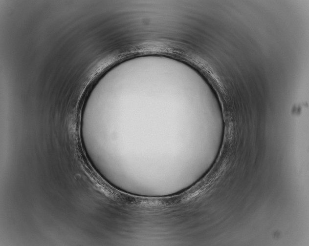 X0000099540882200806061452