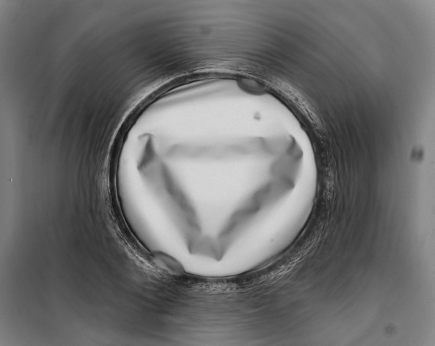 X0000099540884200806061452