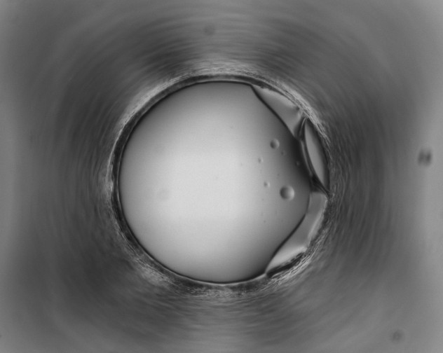 X0000099540885200806061452