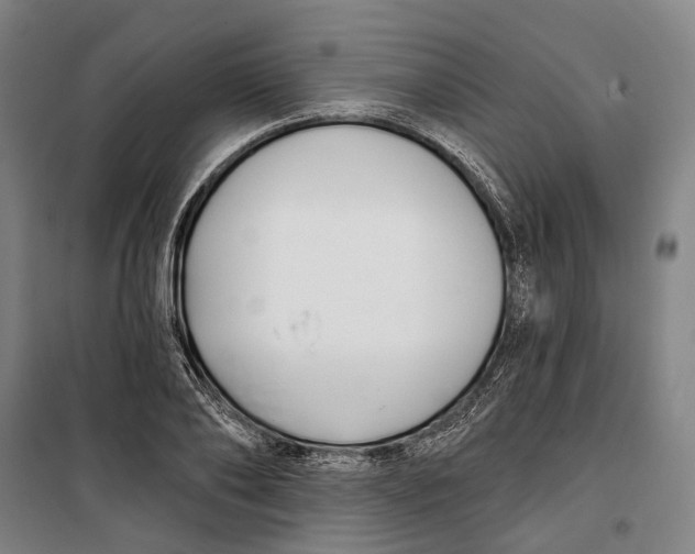 X0000099540886200806061452