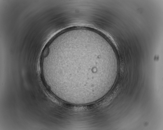 X0000099540887200806061452