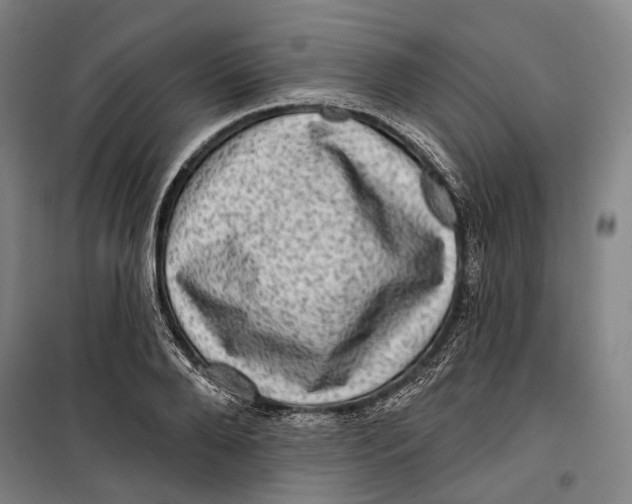 X0000099540888200806061452