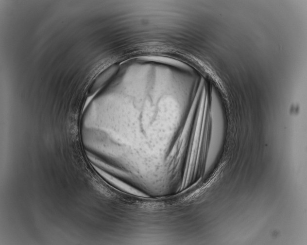 X0000099540889200806061452