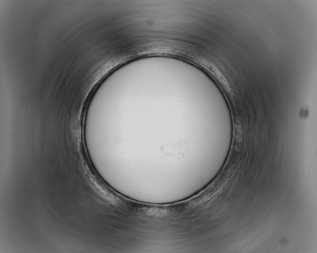 X0000099540890200806061452