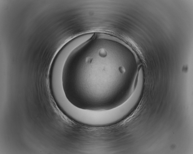 X0000099540892200806061452