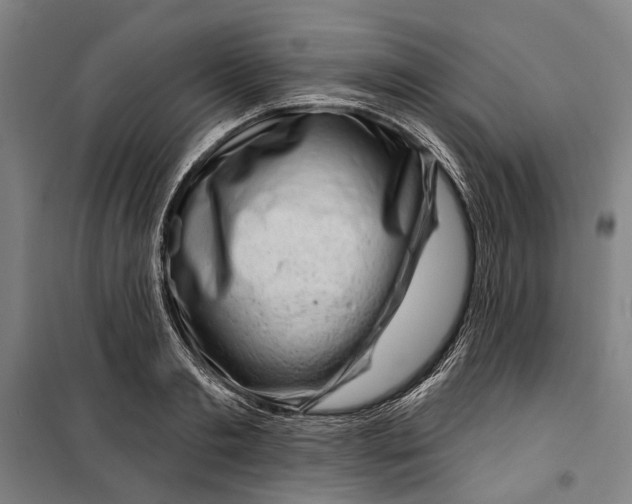 X0000099540893200806061452