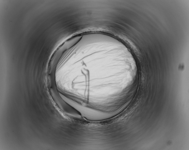 X0000099540894200806061452