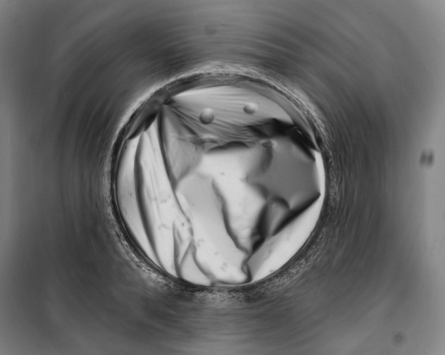 X0000099540896200806061452