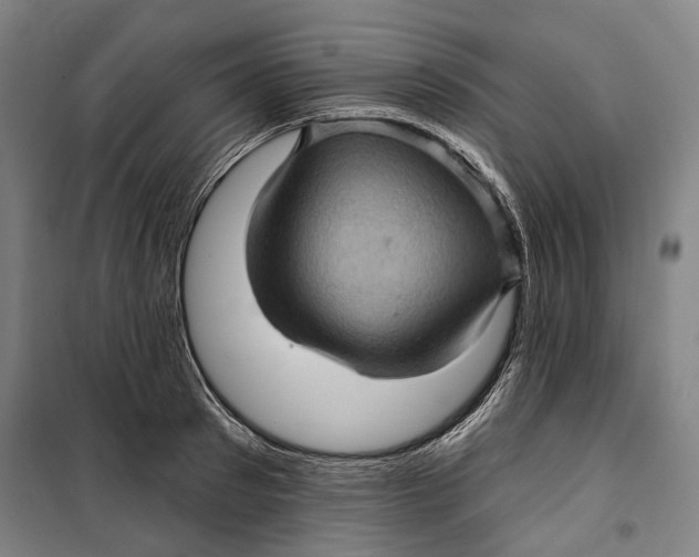 X0000099540897200806061452