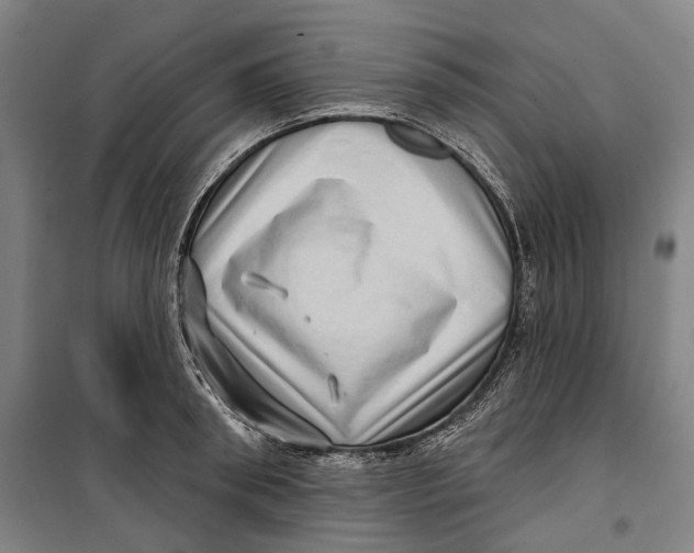 X0000099540898200806061452