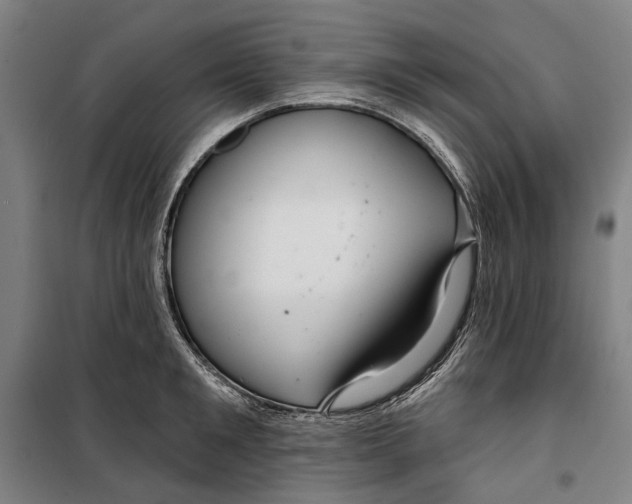 X0000099540901200806061452