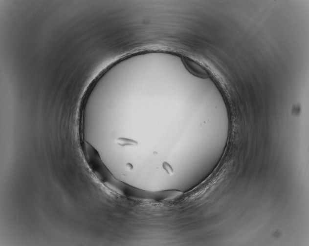 X0000099540902200806061452