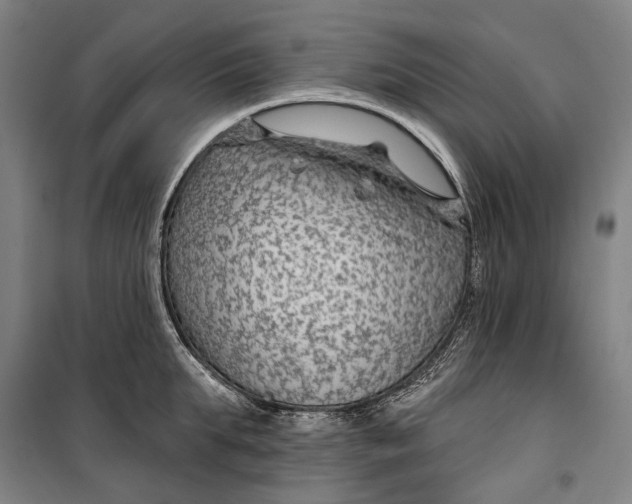 X0000099540903200806061452