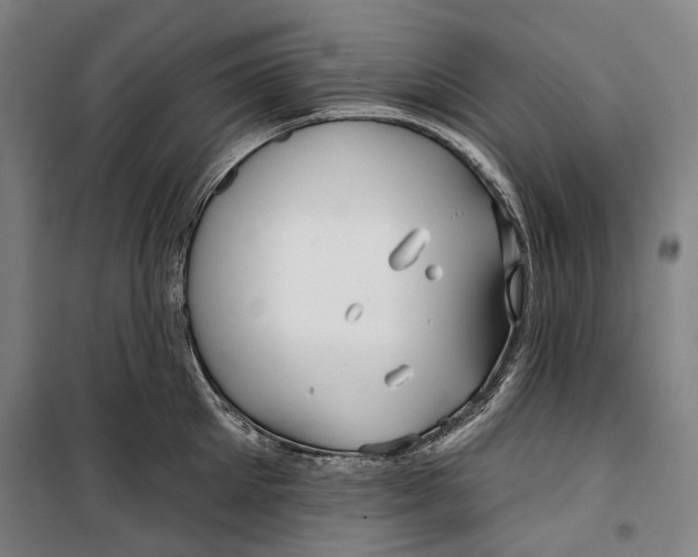 X0000099540905200806061452