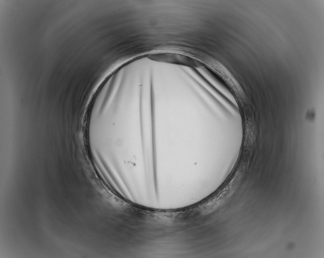 X0000099540908200806061451