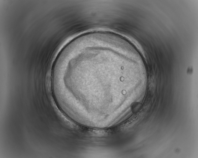 X0000099540911200806061451