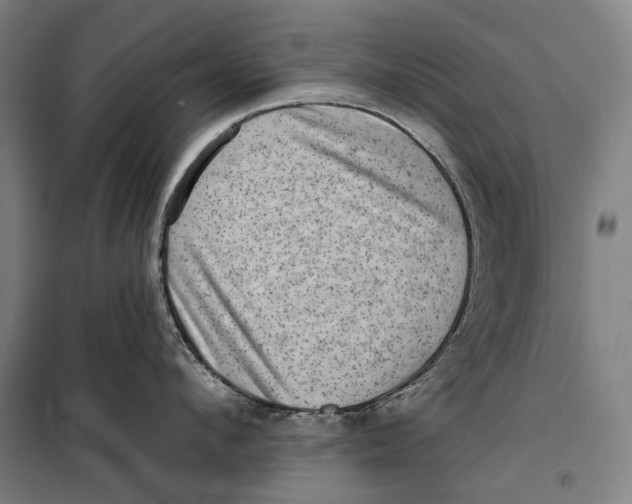 X0000099540912200806061451